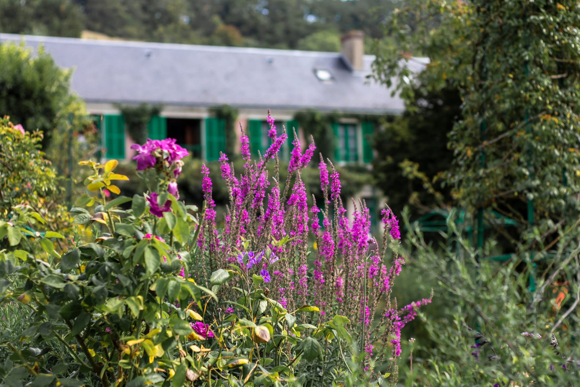 Visiting Monet's Garden in Giverny: My Top Tips For A Perfect Day Out
